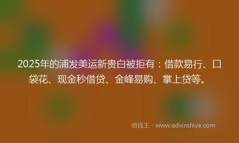 2025年的浦发美运新贵白被拒有：借款易行、口袋花、现金秒借贷、金峰易购、掌上贷等。