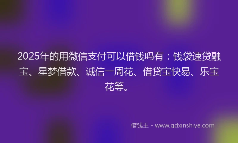 2025年的用微信支付可以借钱吗有：钱袋速贷融宝、星梦借款、诚信一周花、借贷宝快易、乐宝花等。