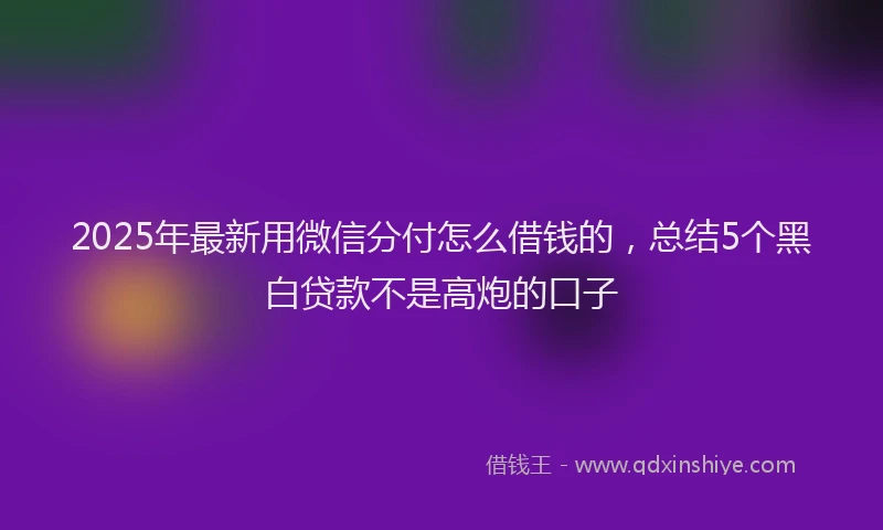 2025年最新用微信分付怎么借钱的，总结5个黑白贷款不是高炮的口子