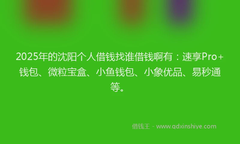 2025年的沈阳个人借钱找谁借钱啊有:速享Pro+钱包、微粒宝盒、小鱼钱包、小象优品、易秒通等。