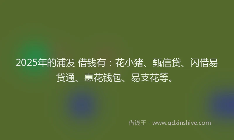 2025年的浦发 借钱有：花小猪、甄信贷、闪借易贷通、惠花钱包、易支花等。