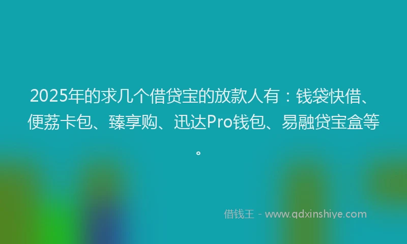 2025年的求几个借贷宝的放款人有：钱袋快借、便荔卡包、臻享购、迅达Pro钱包、易融贷宝盒等。