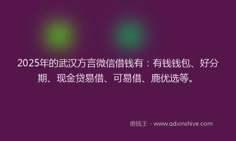 2025年的武汉方言微信借钱有：有钱钱包、好分期、现金贷易借、可易借、鹿优选等。
