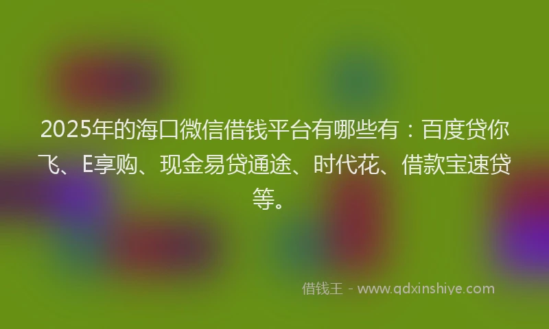 2025年的海口微信借钱平台有哪些有：百度贷你飞、E享购、现金易贷通途、时代花、借款宝速贷等。