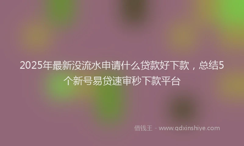 2025年最新没流水申请什么贷款好下款,总结5个新号易贷速审秒下款平台