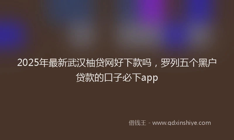 2025年最新武汉柚贷网好下款吗，罗列五个黑户贷款的口子必下app