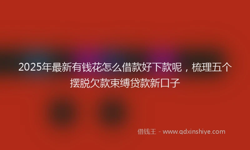 2025年最新有钱花怎么借款好下款呢，梳理五个摆脱欠款束缚贷款新口子