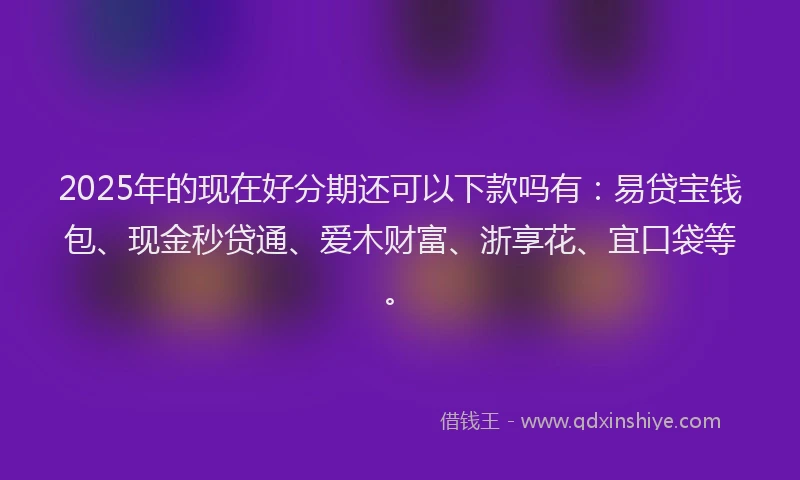 2025年的现在好分期还可以下款吗有：易贷宝钱包、现金秒贷通、爱木财富、浙享花、宜口袋等。