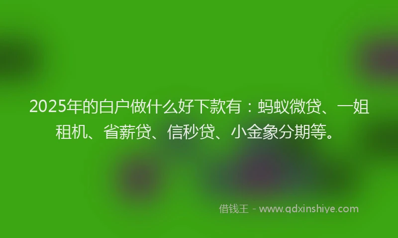 2025年的白户做什么好下款有：蚂蚁微贷、一姐租机、省薪贷、信秒贷、小金象分期等。