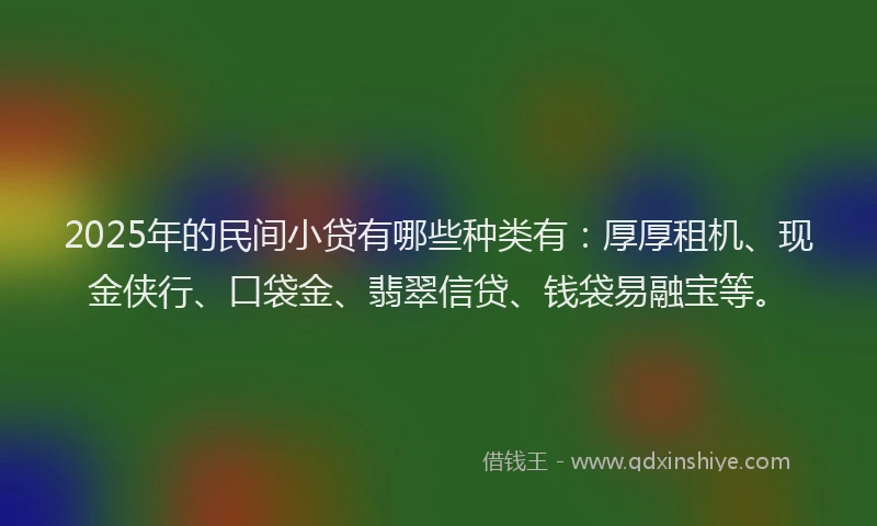 2025年的民间小贷有哪些种类有：厚厚租机、现金侠行、口袋金、翡翠信贷、钱袋易融宝等。