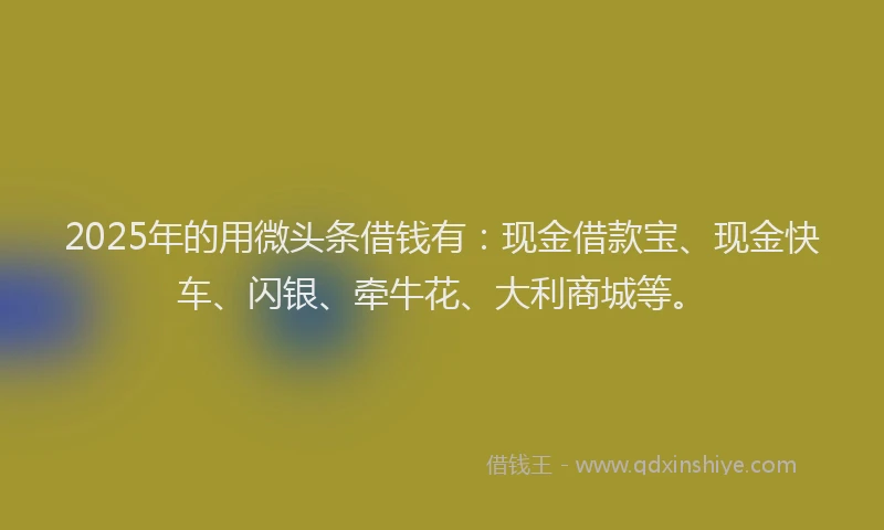 2025年的用微头条借钱有：现金借款宝、现金快车、闪银、牵牛花、大利商城等。