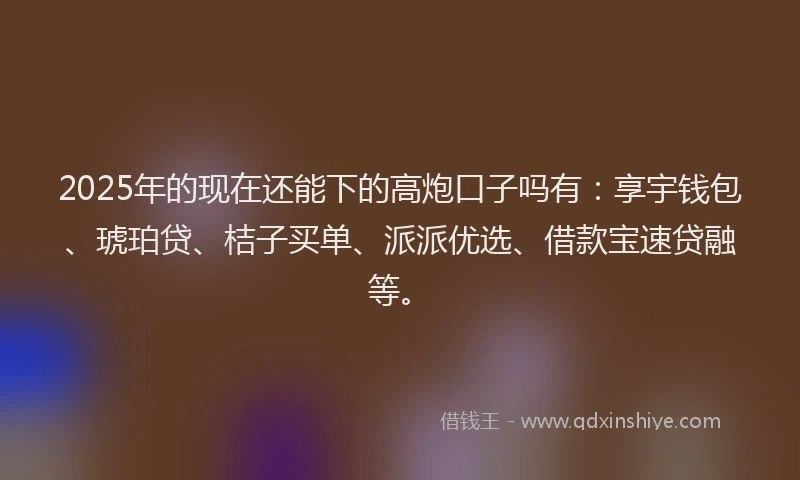 2025年的现在还能下的高炮口子吗有：享宇钱包、琥珀贷、桔子买单、派派优选、借款宝速贷融等。