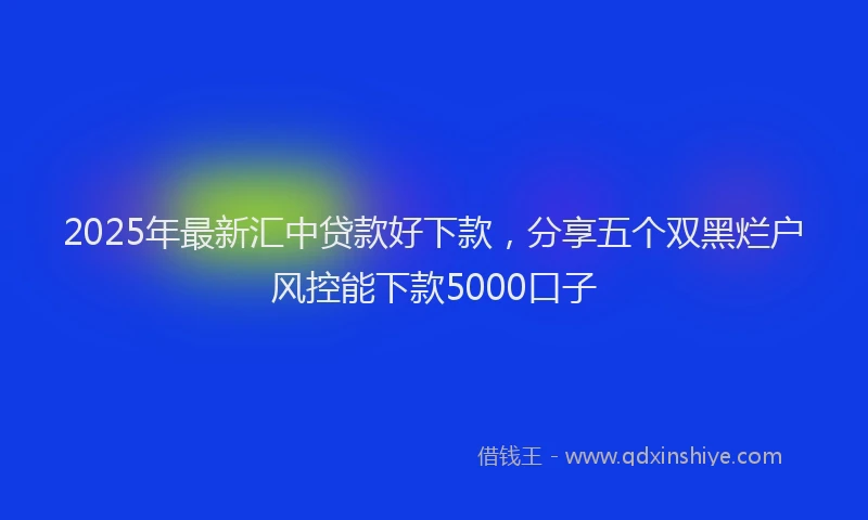 2025年最新汇中贷款好下款，分享五个双黑烂户风控能下款5000口子