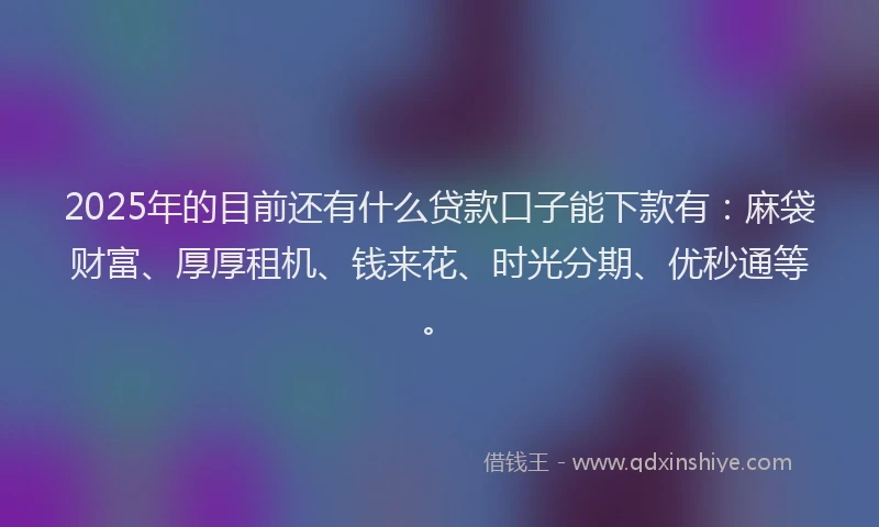 2025年的目前还有什么贷款口子能下款有：麻袋财富、厚厚租机、钱来花、时光分期、优秒通等。