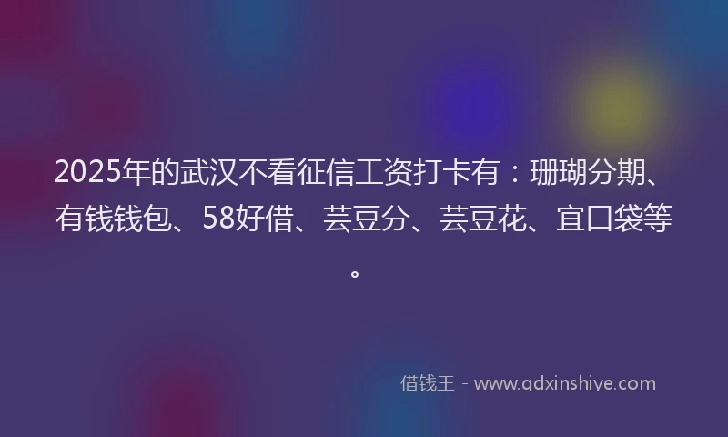 2025年的武汉不看征信工资打卡有：珊瑚分期、有钱钱包、58好借、芸豆分、芸豆花、宜口袋等。
