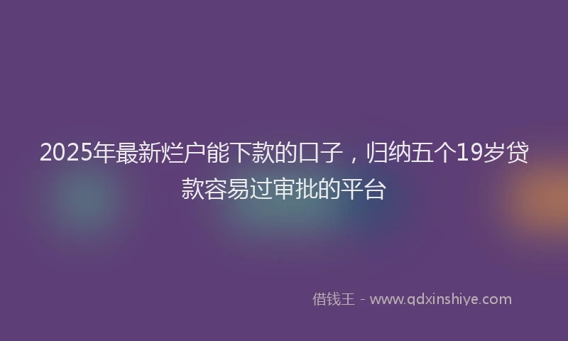 2025年最新烂户能下款的口子，归纳五个19岁贷款容易过审批的平台