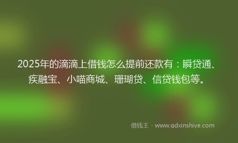 2025年的滴滴上借钱怎么提前还款有：瞬贷通、疾融宝、小喵商城、珊瑚贷、信贷钱包等。