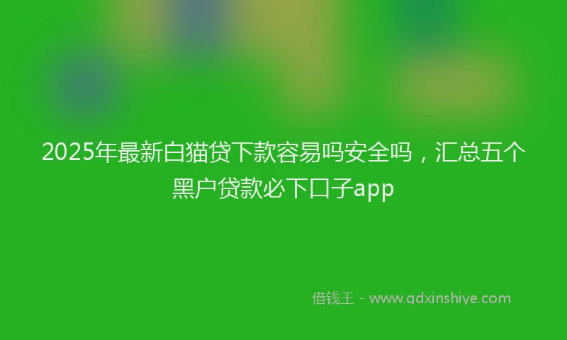 2025年最新白猫贷下款容易吗安全吗，汇总五个黑户贷款必下口子app