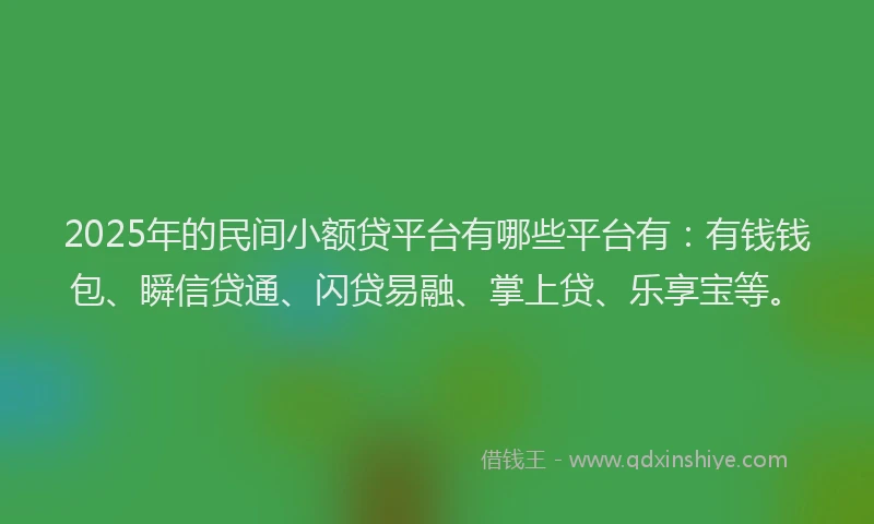 2025年的民间小额贷平台有哪些平台有：有钱钱包、瞬信贷通、闪贷易融、掌上贷、乐享宝等。