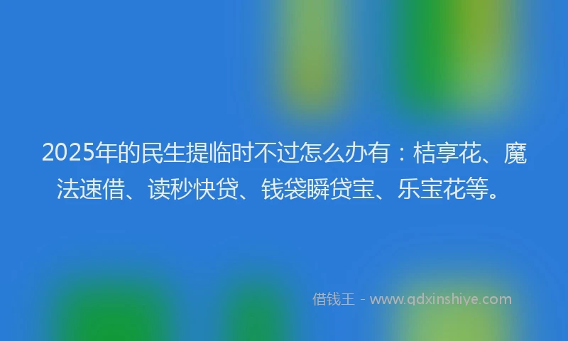 2025年的民生提临时不过怎么办有：桔享花、魔法速借、读秒快贷、钱袋瞬贷宝、乐宝花等。