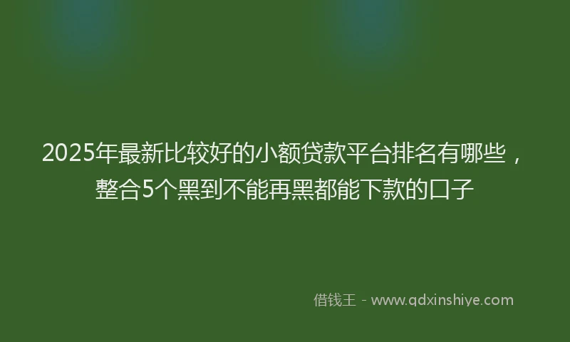 2025年最新比较好的小额贷款平台排名有哪些，整合5个黑到不能再黑都能下款的口子