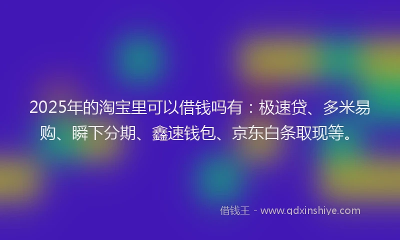 2025年的淘宝里可以借钱吗有：极速贷、多米易购、瞬下分期、鑫速钱包、京东白条取现等。