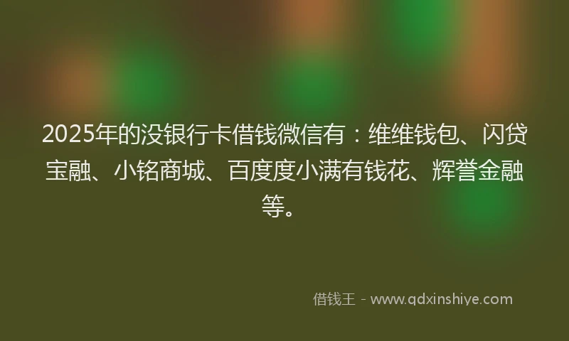 2025年的没银行卡借钱微信有：维维钱包、闪贷宝融、小铭商城、百度度小满有钱花、辉誉金融等。