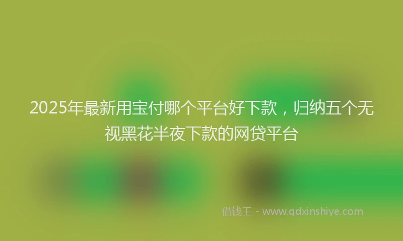 2025年最新用宝付哪个平台好下款，归纳五个无视黑花半夜下款的网贷平台