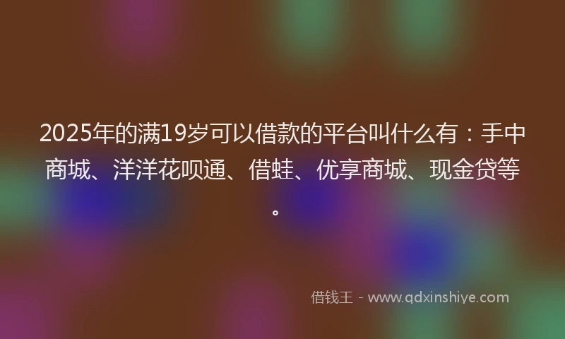 2025年的满19岁可以借款的平台叫什么有：手中商城、洋洋花呗通、借蛙、优享商城、现金贷等。