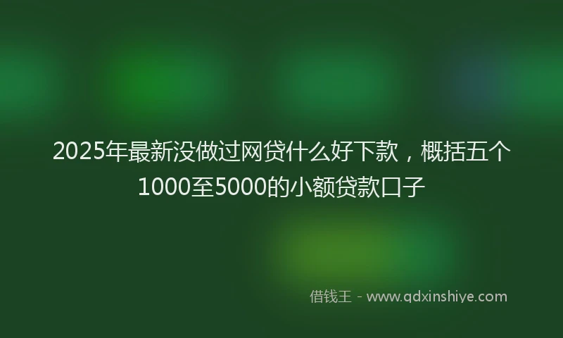 2025年最新没做过网贷什么好下款，概括五个1000至5000的小额贷款口子