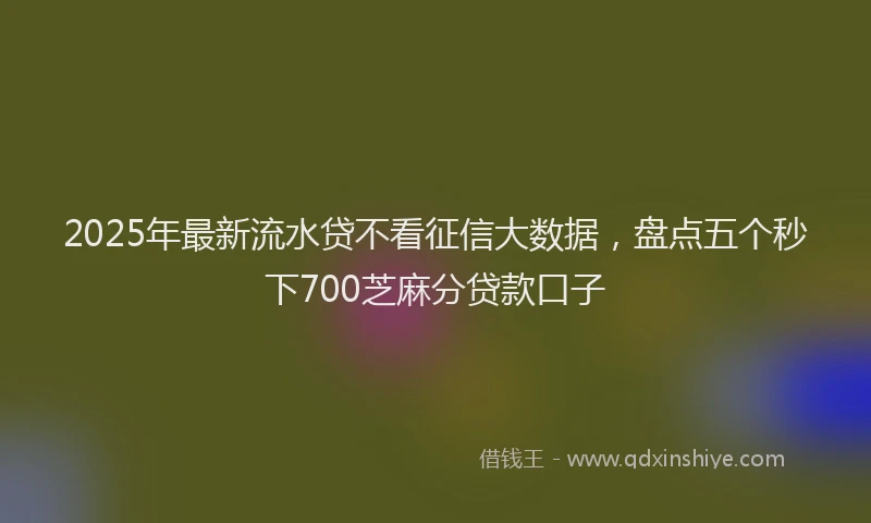 2025年最新流水贷不看征信大数据，盘点五个秒下700芝麻分贷款口子