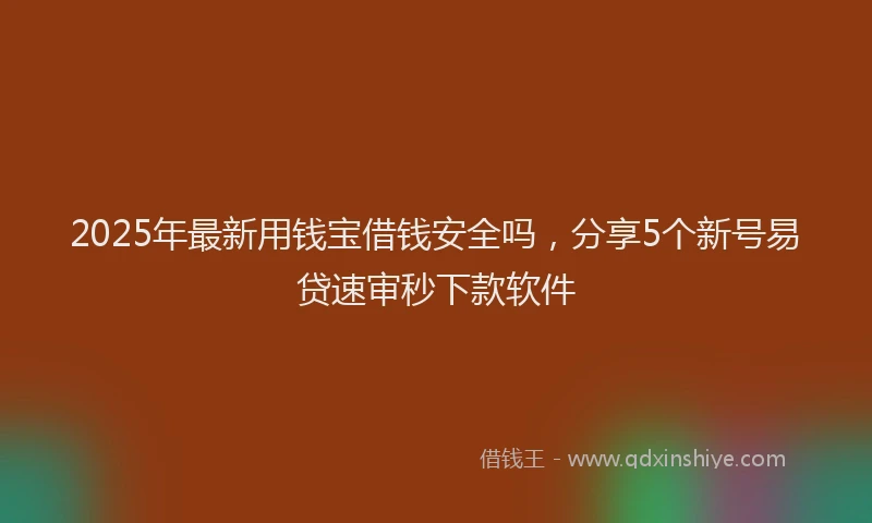 2025年最新用钱宝借钱安全吗，分享5个新号易贷速审秒下款软件