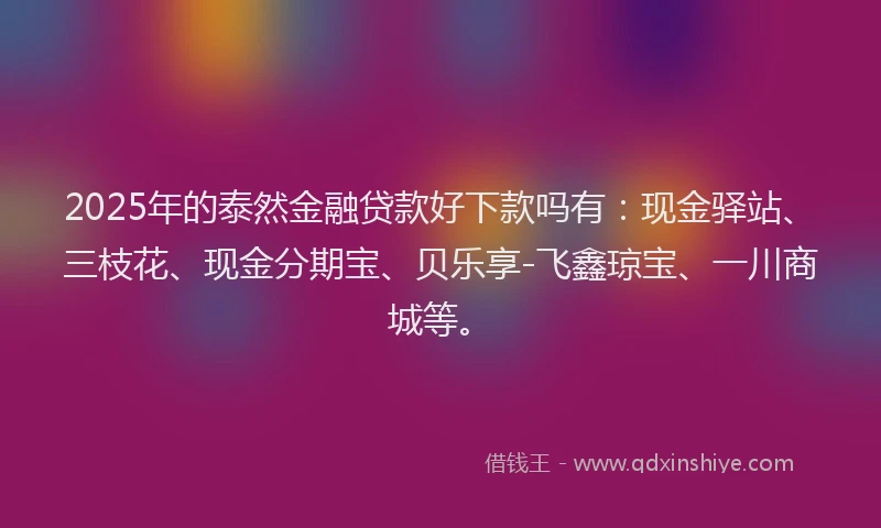 2025年的泰然金融贷款好下款吗有:现金驿站、三枝花、现金分期宝、贝乐享-飞鑫琼宝、一川商城等。