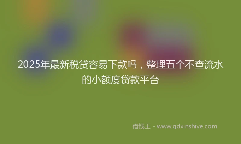 2025年最新税贷容易下款吗，整理五个不查流水的小额度贷款平台