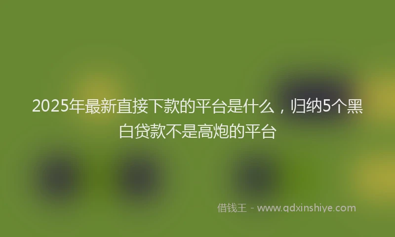 2025年最新直接下款的平台是什么，归纳5个黑白贷款不是高炮的平台