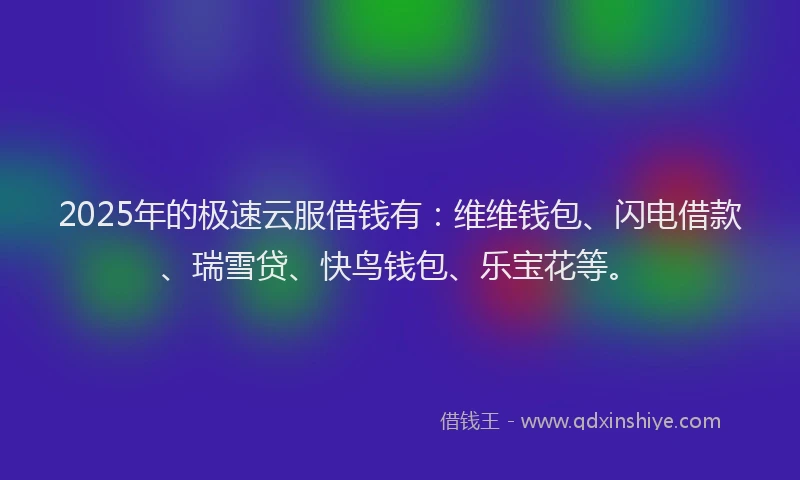 2025年的极速云服借钱有：维维钱包、闪电借款、瑞雪贷、快鸟钱包、乐宝花等。