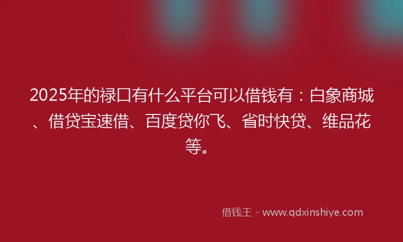 2025年的禄口有什么平台可以借钱有：白象商城、借贷宝速借、百度贷你飞、省时快贷、维品花等。