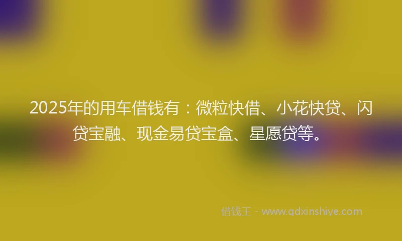 2025年的用车借钱有：微粒快借、小花快贷、闪贷宝融、现金易贷宝盒、星愿贷等。
