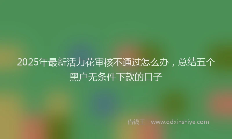2025年最新活力花审核不通过怎么办，总结五个黑户无条件下款的口子
