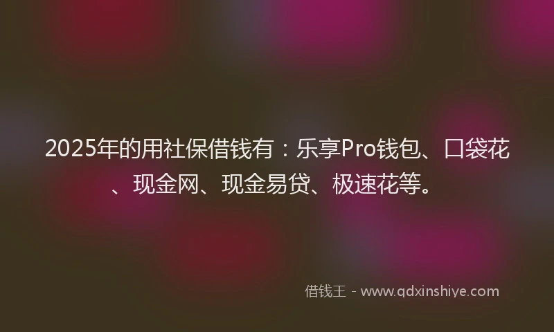 2025年的用社保借钱有：乐享Pro钱包、口袋花、现金网、现金易贷、极速花等。