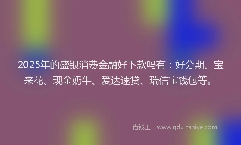 2025年的盛银消费金融好下款吗有：好分期、宝来花、现金奶牛、爱达速贷、瑞信宝钱包等。