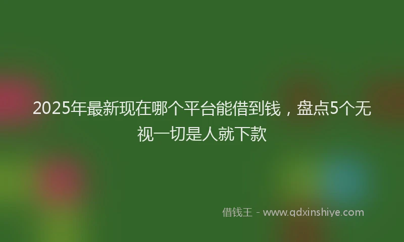 2025年最新现在哪个平台能借到钱，盘点5个无视一切是人就下款