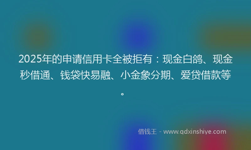 2025年的申请信用卡全被拒有：现金白鸽、现金秒借通、钱袋快易融、小金象分期、爱贷借款等。