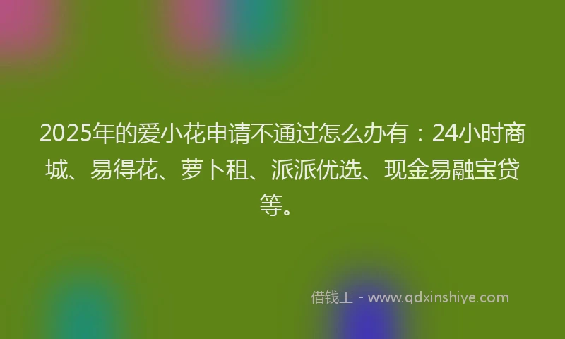 2025年的爱小花申请不通过怎么办有：24小时商城、易得花、萝卜租、派派优选、现金易融宝贷等。
