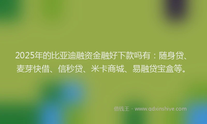 2025年的比亚迪融资金融好下款吗有：随身贷、麦芽快借、信秒贷、米卡商城、易融贷宝盒等。