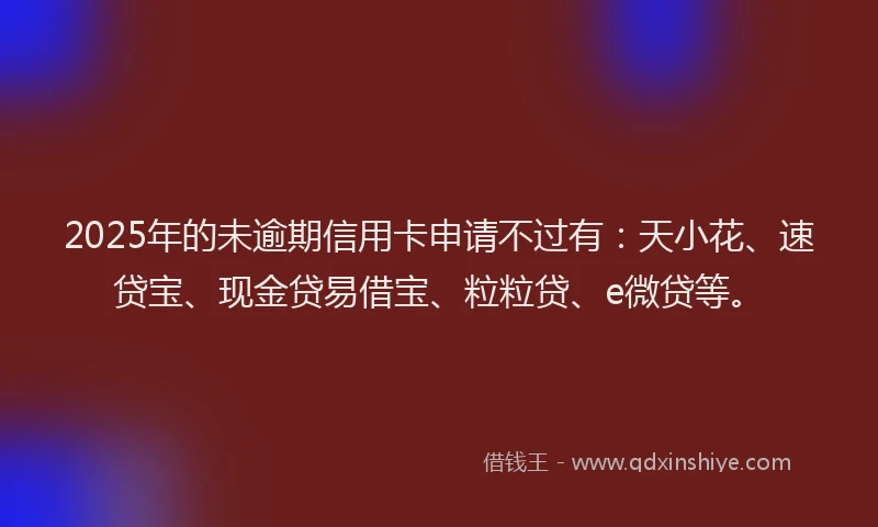 2025年的未逾期信用卡申请不过有：天小花、速贷宝、现金贷易借宝、粒粒贷、e微贷等。