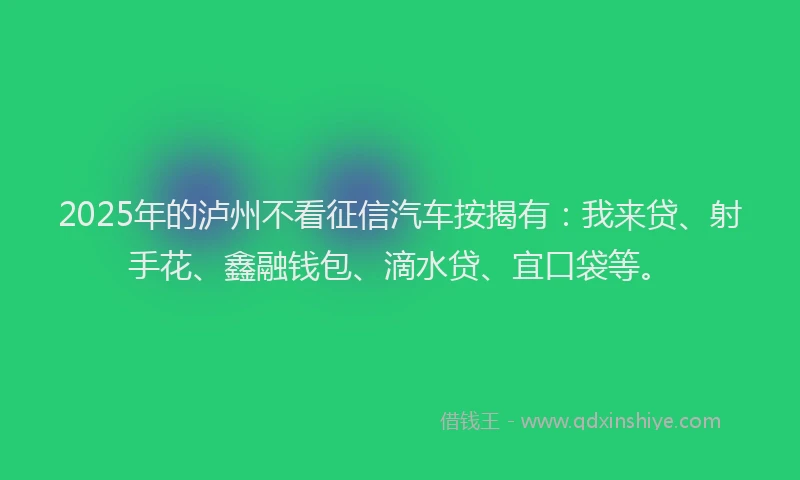 2025年的泸州不看征信汽车按揭有：我来贷、射手花、鑫融钱包、滴水贷、宜口袋等。