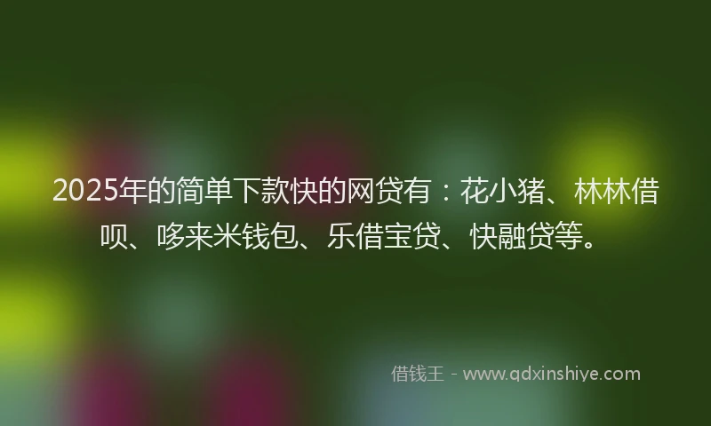 2025年的简单下款快的网贷有：花小猪、林林借呗、哆来米钱包、乐借宝贷、快融贷等。