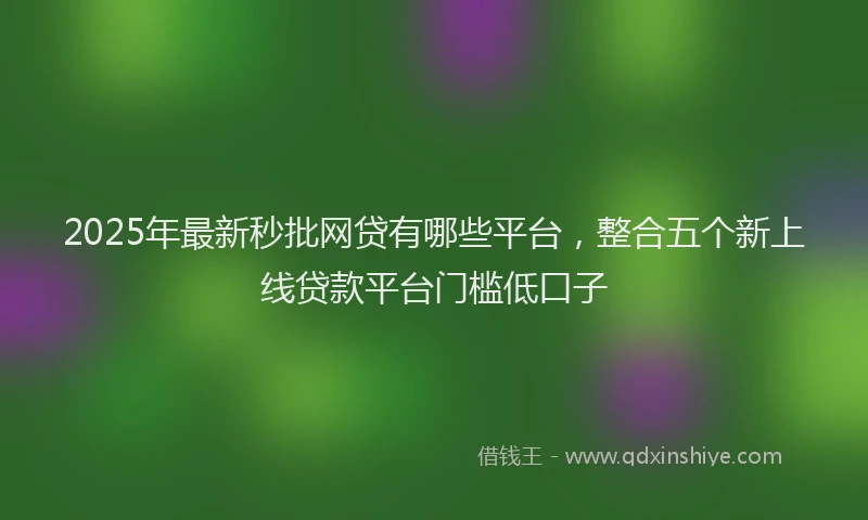2025年最新秒批网贷有哪些平台，整合五个新上线贷款平台门槛低口子