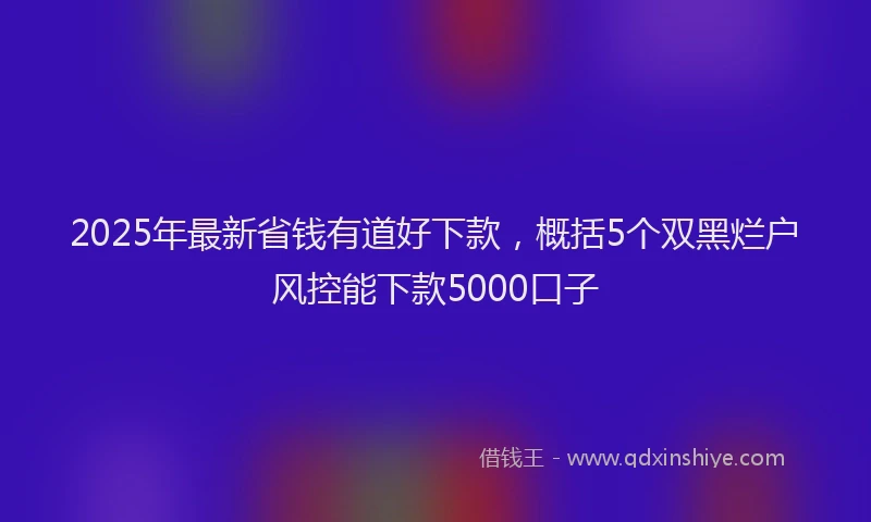 2025年最新省钱有道好下款，概括5个双黑烂户风控能下款5000口子